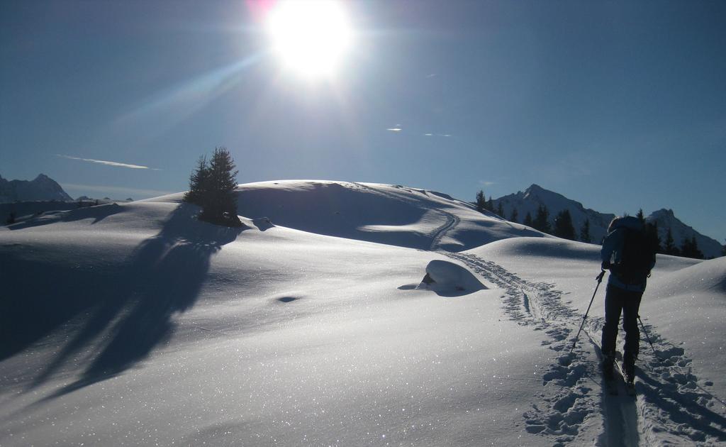 Pension Steiermark Schladming Bagian luar foto