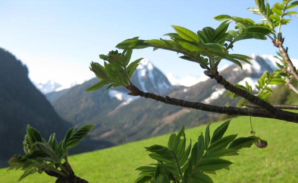 Pension Steiermark Schladming Bagian luar foto